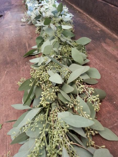 seeded eucalyptus